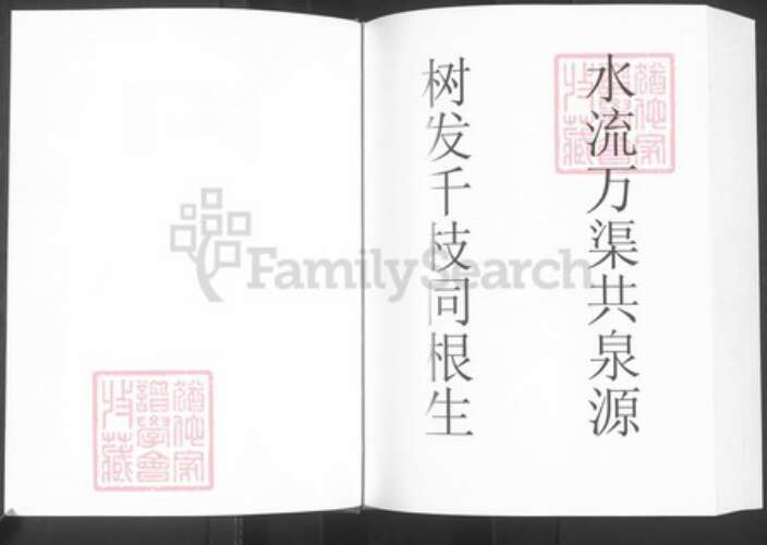 贵州省六盘水市贵州省毕节市大方县胡氏族谱-胡氏族谱(贵州正节公支系).pdf电子版预览图3