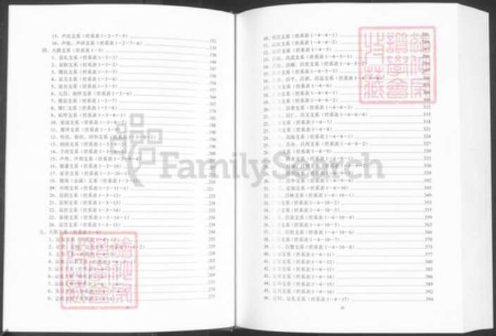 贵州省六盘水市贵州省毕节市大方县胡氏族谱-胡氏族谱(贵州正节公支系).pdf电子版预览图5