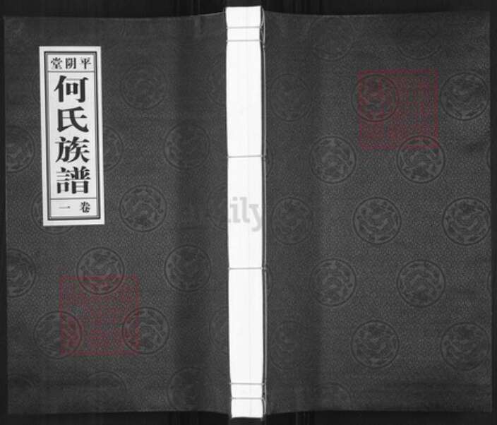 山东省济南市平阴县何氏平阴堂族谱-何氏族谱.pdf电子版缩略图