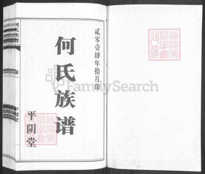 山东省济南市平阴县何氏平阴堂族谱-何氏族谱.pdf电子版预览图1