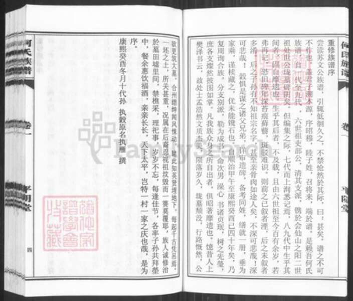 山东省济南市平阴县何氏平阴堂族谱-何氏族谱.pdf电子版预览图4