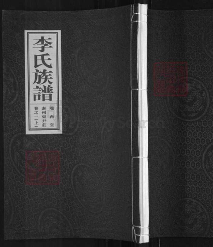 江苏省泰州市姜堰区李氏陇西堂族谱-李氏族谱.pdf电子版缩略图