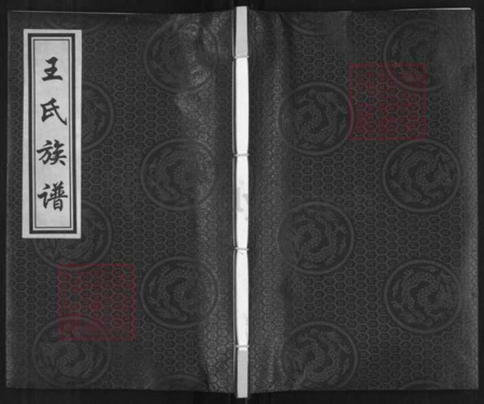 河北省沧州孟村回族自治县新县镇王氏四贤堂族谱-王氏族谱.pdf电子版缩略图