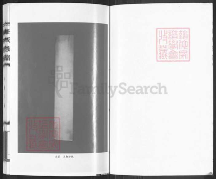 河北省沧州孟村回族自治县新县镇王氏四贤堂族谱-王氏族谱.pdf电子版预览图3