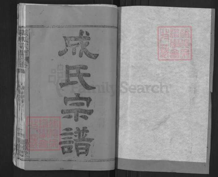 湖北省武汉市新洲区成氏亲睦堂族谱-成氏宗谱.pdf电子版预览图1