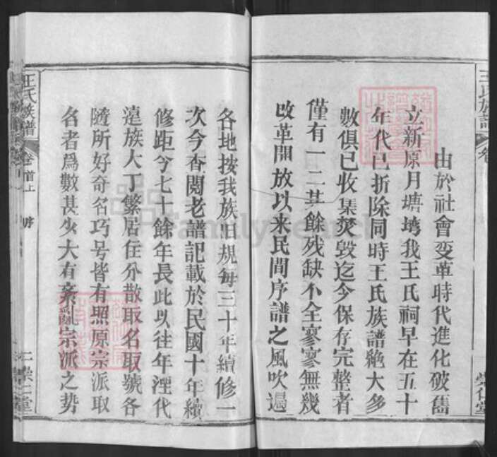 湖北省黄冈市麻城市王氏崇仁堂族谱-王氏族谱.pdf电子版预览图2