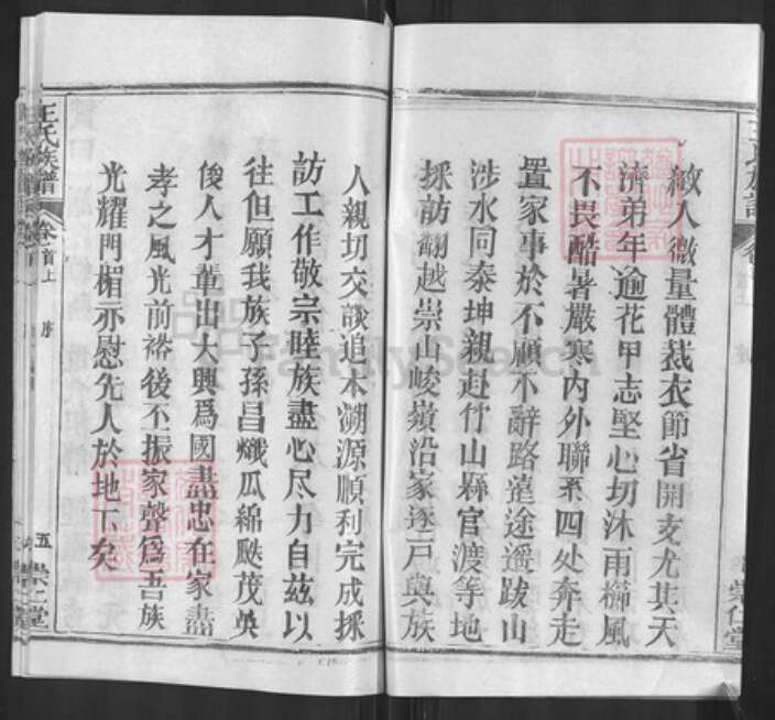 湖北省黄冈市麻城市王氏崇仁堂族谱-王氏族谱.pdf电子版预览图5