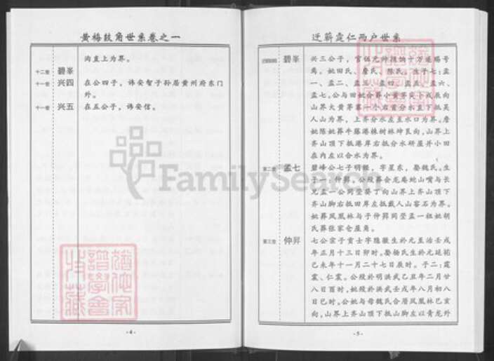 湖北省黄冈市蕲春县王氏三槐堂族谱-王氏宗谱.pdf电子版预览图4