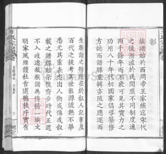 湖北省黄冈市麻城市南湖街道王氏三槐堂族谱-王氏家史.pdf电子版预览图3