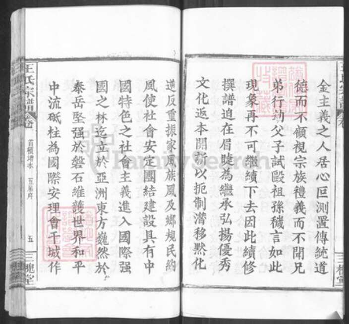 湖北省黄冈市麻城市南湖街道王氏三槐堂族谱-王氏家史.pdf电子版预览图5