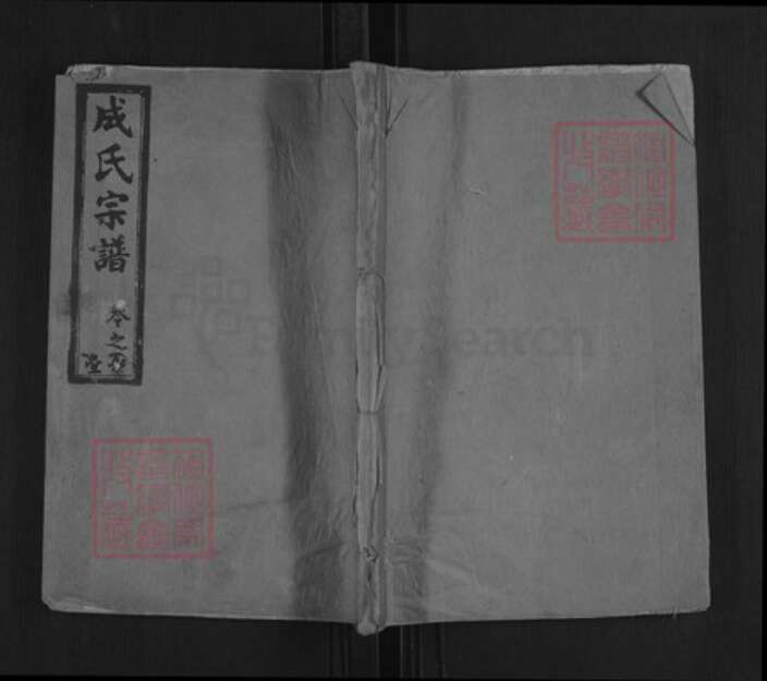 湖北省武汉市新洲区成氏族谱-成氏宗谱.pdf电子版缩略图