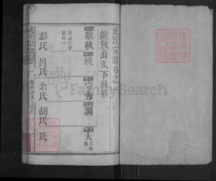 湖北省武汉市新洲区成氏族谱-成氏宗谱.pdf电子版预览图1