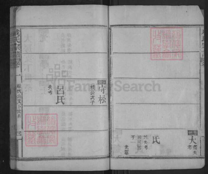 湖北省武汉市新洲区成氏族谱-成氏宗谱.pdf电子版预览图3