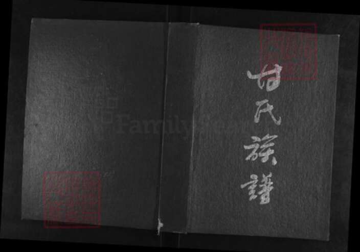重庆市合川区甘氏族谱-甘氏族谱.pdf电子版缩略图