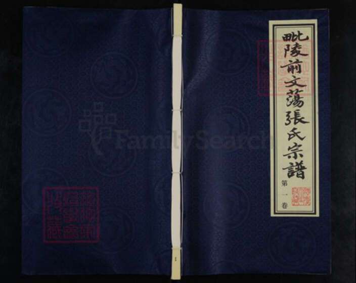 江苏省常州市武进县张氏积庆堂族谱-毗陵前文荡张氏宗谱.pdf电子版缩略图