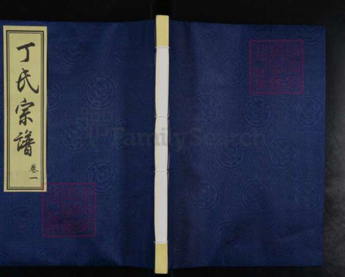 江苏省常州市武进县洛阳镇江苏省常州市武进县丁氏儒林堂族谱-丁氏宗谱.pdf电子版缩略图