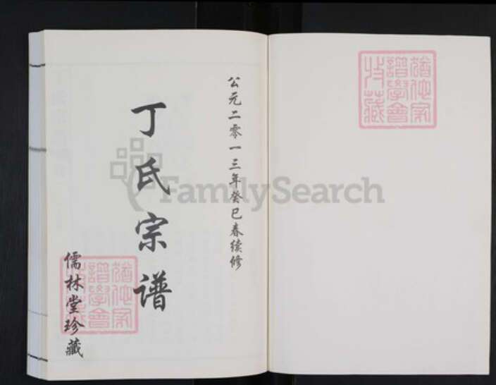 江苏省常州市武进县洛阳镇江苏省常州市武进县丁氏儒林堂族谱-丁氏宗谱.pdf电子版预览图1