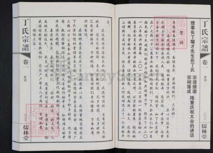 江苏省常州市武进县洛阳镇江苏省常州市武进县丁氏儒林堂族谱-丁氏宗谱.pdf电子版预览图3