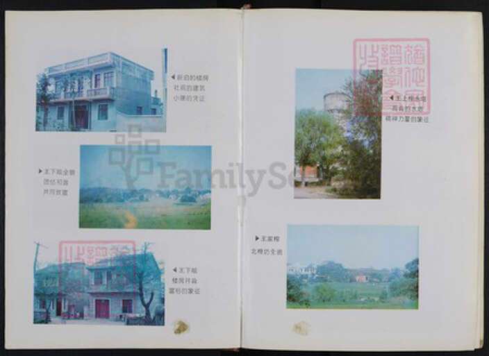 湖北省武汉市黄陂区六指街道王氏三槐堂族谱-王氏宗谱.pdf电子版预览图5