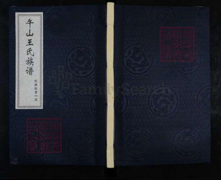 山东省青岛市崂山区王氏族谱-午山王氏族谱之王东贵一支.pdf电子版缩略图