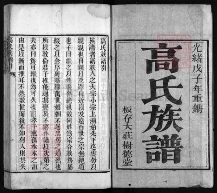 山东省临沂市沂水县高氏树德堂族谱-高氏族谱 [6卷,首1卷].pdf电子版预览图1