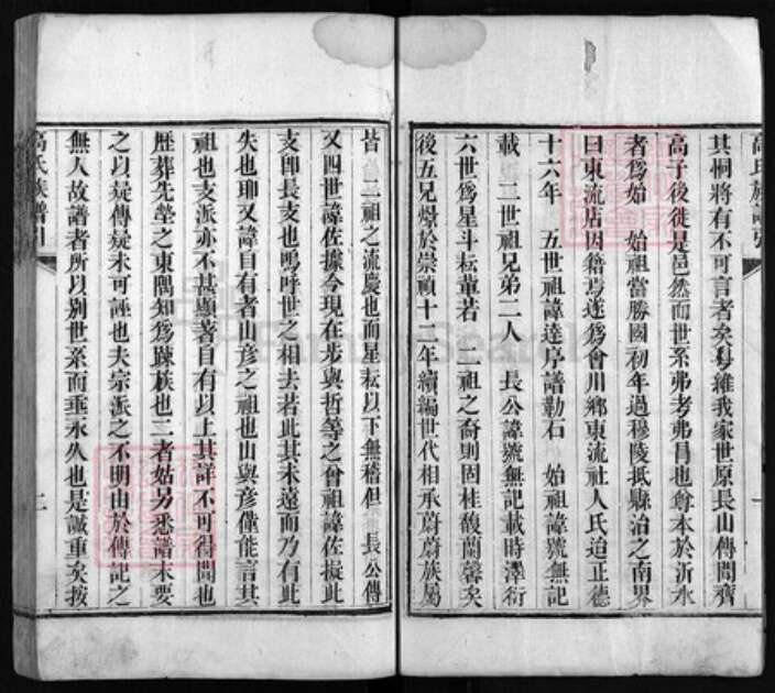 山东省临沂市沂水县高氏树德堂族谱-高氏族谱 [6卷,首1卷].pdf电子版预览图2