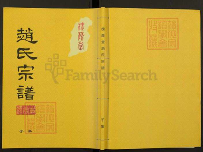 山西省忻州市五台县赵氏族谱-槐荫堂赵氏宗谱.pdf电子版缩略图