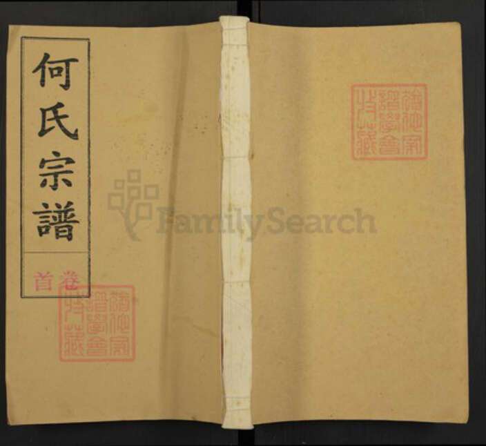 安徽省何氏族谱-何氏宗谱.pdf电子版缩略图