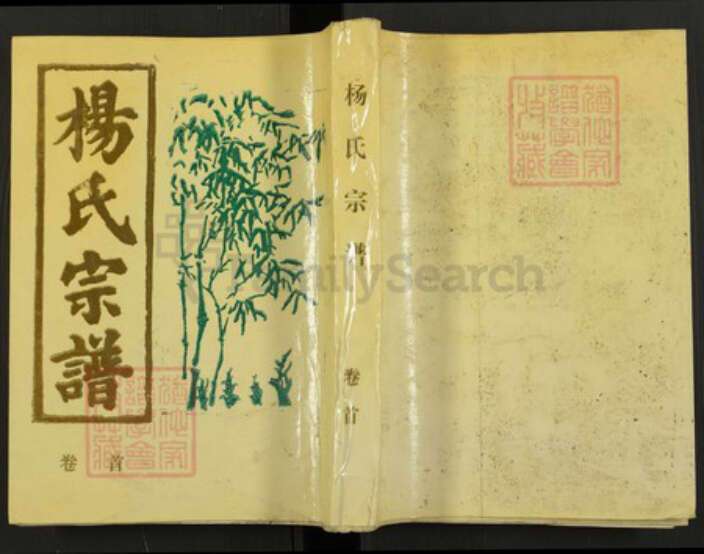 安徽省杨氏族谱-杨氏宗谱.pdf电子版缩略图