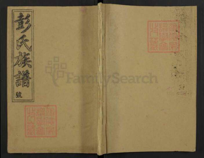 安徽省安庆市桐城市彭氏族谱-彭氏族谱.pdf电子版缩略图