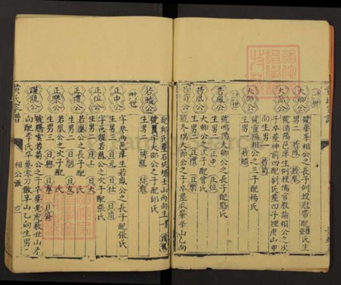 江西省黄氏族谱-黄氏家谱.不分卷.pdf电子版预览图2