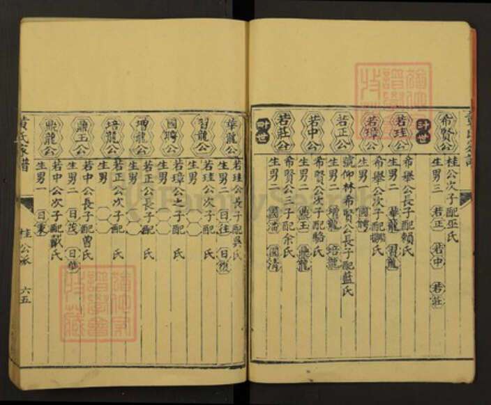 江西省黄氏族谱-黄氏家谱.不分卷.pdf电子版预览图5