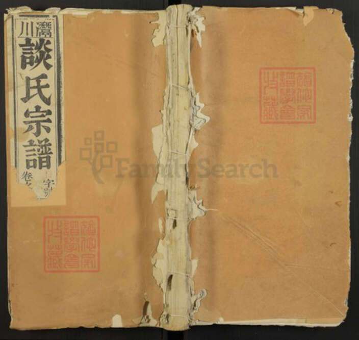 江西省九江市瑞昌市谈氏族谱-谈氏宗谱.pdf电子版缩略图