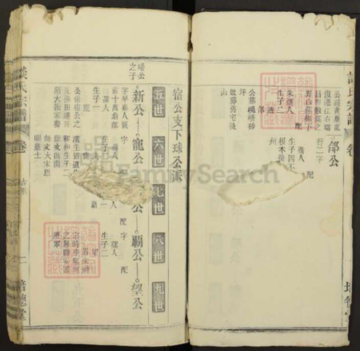 江西省九江市瑞昌市谈氏族谱-谈氏宗谱.pdf电子版预览图2