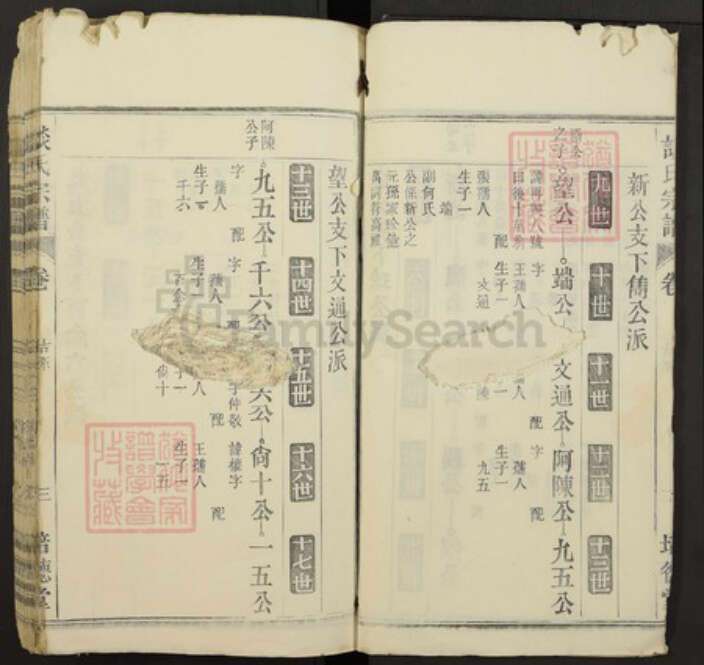 江西省九江市瑞昌市谈氏族谱-谈氏宗谱.pdf电子版预览图3