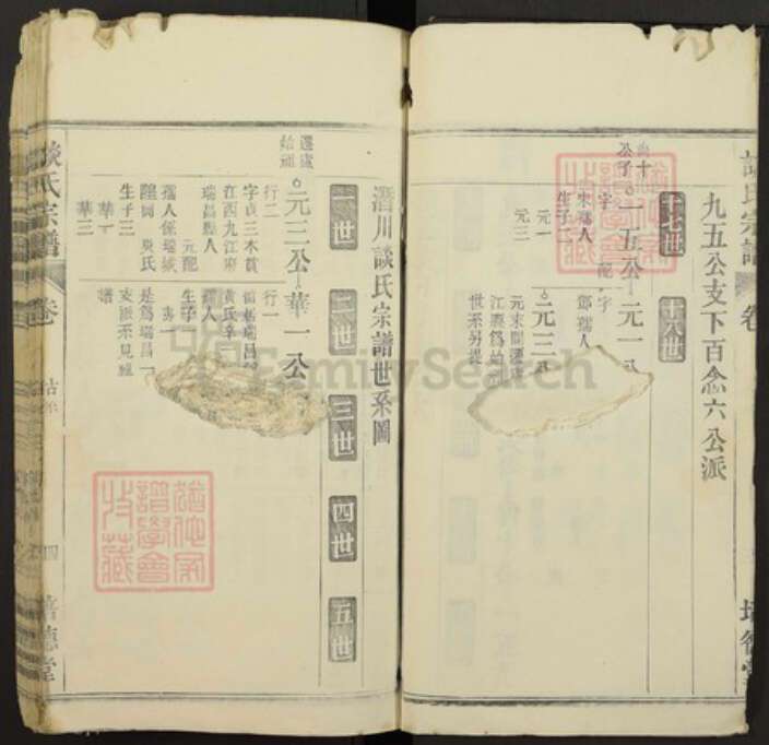 江西省九江市瑞昌市谈氏族谱-谈氏宗谱.pdf电子版预览图4