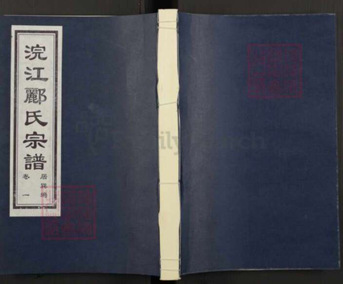浙江省绍兴诸暨市诸暨郦氏族谱-浣江郦氏宗谱居巽坞.pdf电子版缩略图
