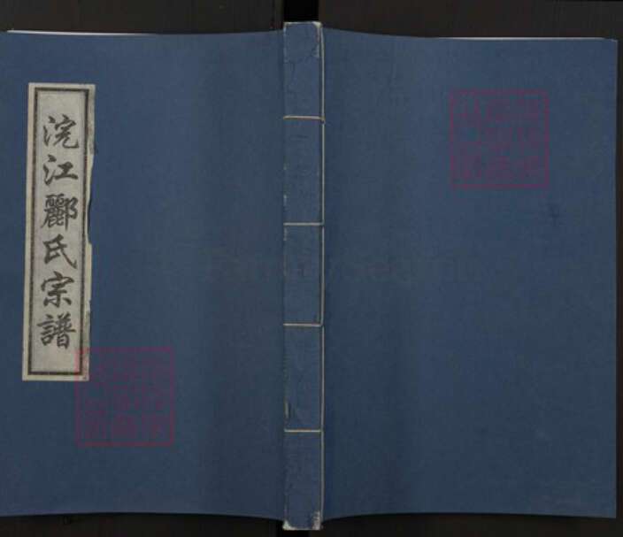 浙江省绍兴诸暨市诸暨郦氏族谱-浣江郦氏宗谱（秉彝房居琅山）.pdf电子版缩略图