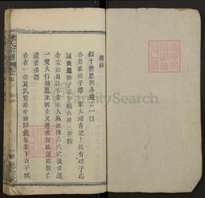 湖北省黄冈市红安县饶氏族谱-饶氏宗谱.pdf电子版预览图1