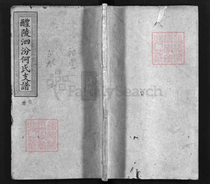 湖南省株洲市醴陵市醴陵何氏敦本堂族谱-醴陵泗汾何氏支谱 [卷数杂异].pdf电子版缩略图