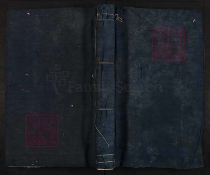 江西省吉安市泰和市沿溪镇王氏光裕堂族谱-山东王氏七修族谱.pdf电子版缩略图