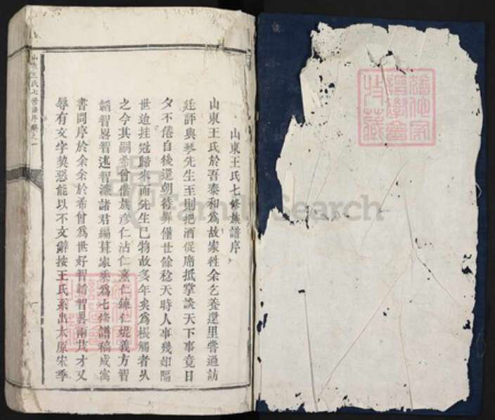 江西省吉安市泰和市沿溪镇王氏光裕堂族谱-山东王氏七修族谱.pdf电子版预览图1