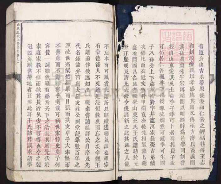 江西省吉安市泰和市沿溪镇王氏光裕堂族谱-山东王氏七修族谱.pdf电子版预览图2