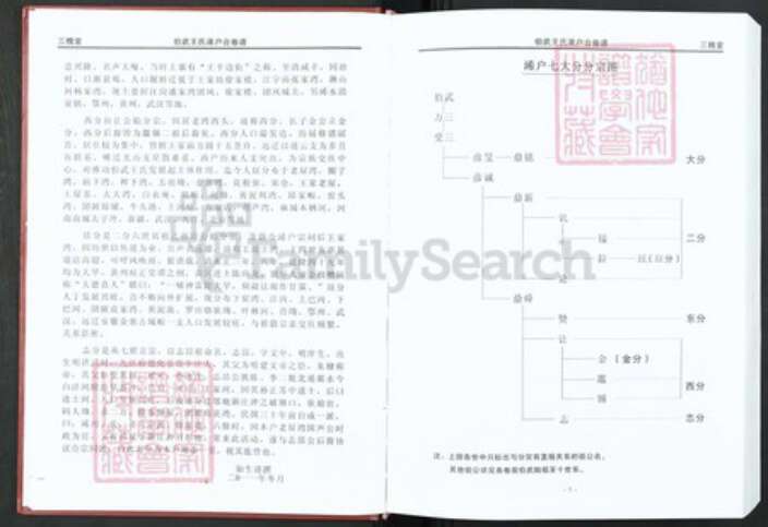 湖北省黄冈市罗田县河铺镇王氏三槐堂族谱-伯武王氏宗谱.pdf电子版预览图5