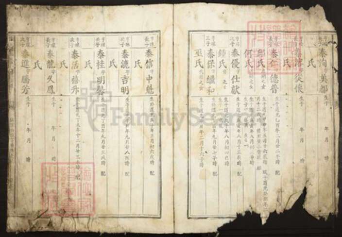 江西省赣州市林氏族谱-豫章赣郡林氏三修族谱.pdf电子版预览图2