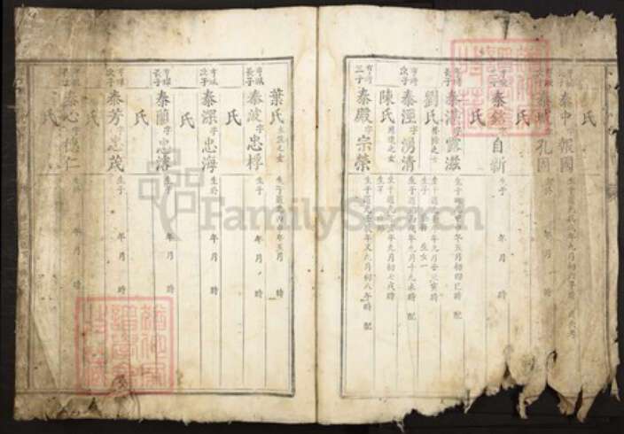 江西省赣州市林氏族谱-豫章赣郡林氏三修族谱.pdf电子版预览图3