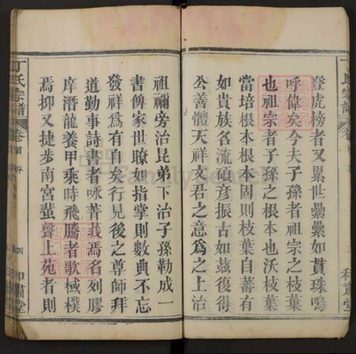 湖北省黄冈市黄州区湖北省黄冈市麻城市丁氏和肃堂族谱-丁氏宗谱.pdf电子版预览图4