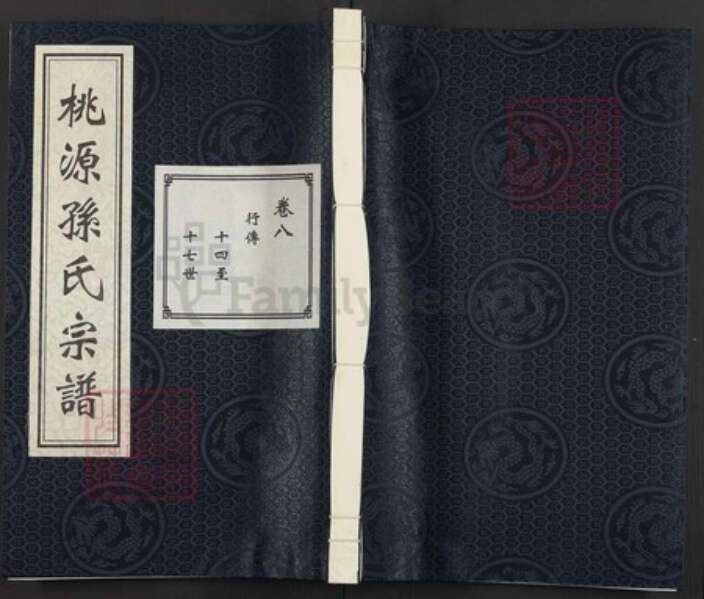 浙江省杭州市萧山区孙氏族谱-桃源小湖孙氏宗谱.pdf电子版缩略图