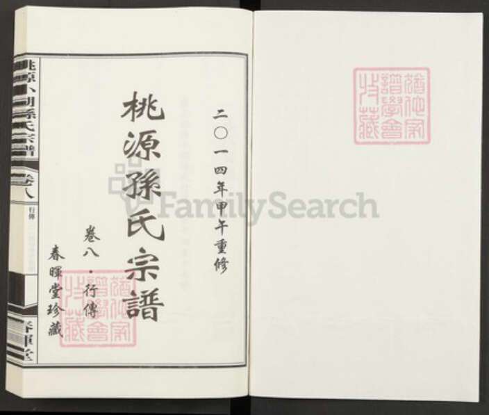 浙江省杭州市萧山区孙氏族谱-桃源小湖孙氏宗谱.pdf电子版预览图1