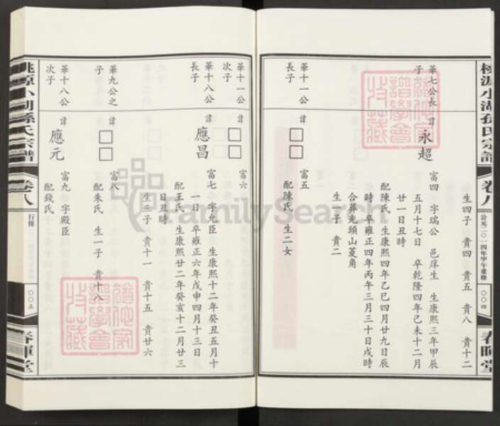 浙江省杭州市萧山区孙氏族谱-桃源小湖孙氏宗谱.pdf电子版预览图4